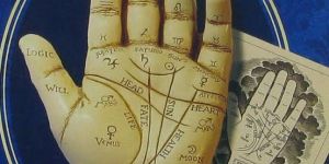 Palmistry Services