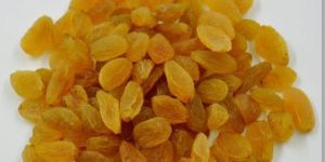 Round Golden Raisins