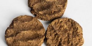 Cow Dung Cake