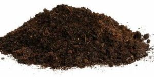 Cow Dung Powder