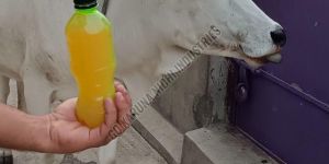 Natural Desi Cow Gomutra