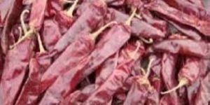 Dried No 5 Red Chilli