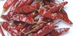 Guntur Red Chilli