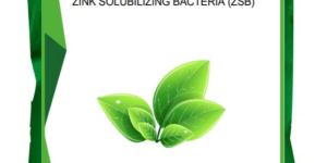 m zsb biofertilizer