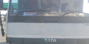 Vehicle Transportation Services