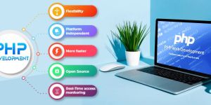 Wordpress Web Design Services