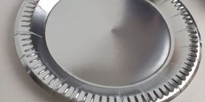 8 Inch Silver Disposable Paper Plate