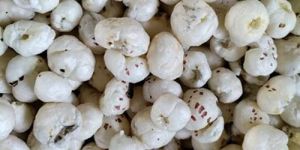 Raw Makhana