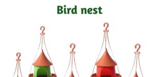 Bird Nest