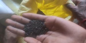 Natural Black Sesame Seed