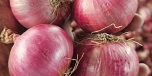 Fresh Pink Onion
