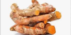 Fresh Turmeric