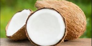 Semi Husked Coconuts