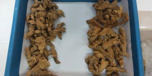 Organic Dry Ginger