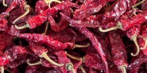 2043 Byadgi Red Chilli