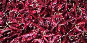 Ipm 341dry Red Chilli