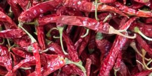 Armur Red Chilli