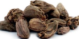 Black Cardamom