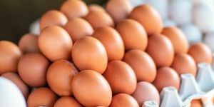 Brown Eggs