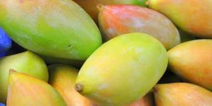 Fresh Mango