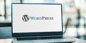 Wordpress Web Design Services