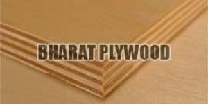 19mm Hardwood Plywood