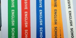 Multicolor ID Card Lanyard