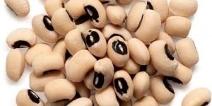 Black Eyed Beans