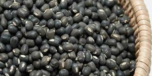 Black Urad Dal
