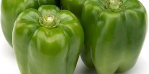 Fresh Green Capsicum