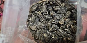 kakmaxi bicchufal dried herb