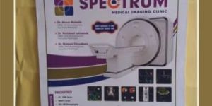 Loop Handle Printed Paper Bag