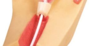 GD/F5N Iud Training Simulator