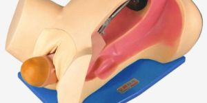 GD/F6 Delivery Mechanism Demonstration Simulator