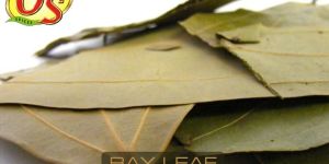 Bay Leaf Tej Patta