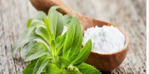 Stevia Powder