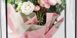 Transparent Bags