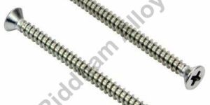 Nickel Alloy Screws