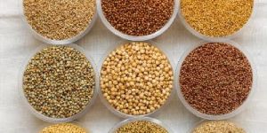 Organic Millets