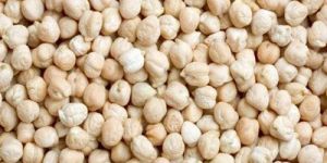 Kabuli Chickpeas