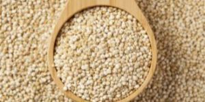 Organic Full Fat Soybean