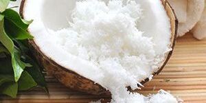 Desiccated Coconut Powder