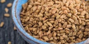 Fenugreek Seed