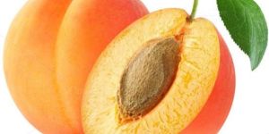 Apricot Oil
