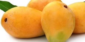 Mangoes