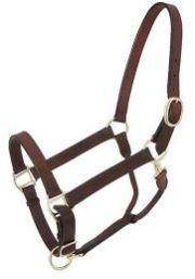 Fully Adjustable Leather Halter