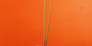 Ceramic Incense Stick Stand