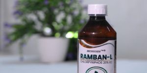 Ramban Chlorpyriphos 20% Ec Insecticide