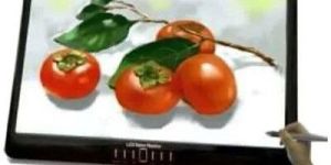 Digi-Canvas Interactive Panel Aha LTM-192W