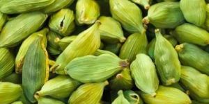 Cardamom Green